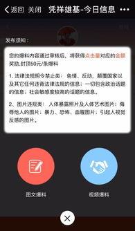 怎么写爆料文章视频呢,如何撰写引人入胜的爆料文章与视频