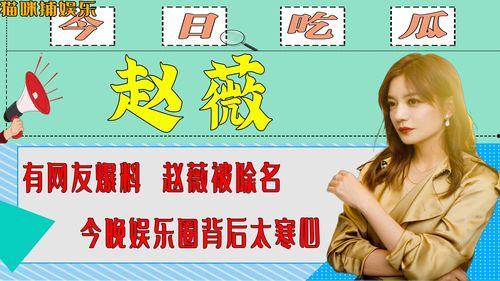 爆料别人娱乐圈,揭秘明星背后的秘密与真相  第3张