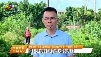 谢岗爆料新闻事件真相,真相大白背后的曲折历程 第2张 谢岗爆料新闻事件真相,真相大白背后的曲折历程 第2张