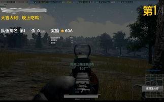 狂风吃鸡爆料视频大全,揭秘热门游戏视频爆料背后的精彩瞬间  第2张