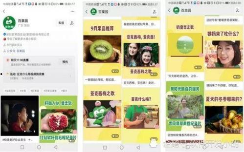 百果园爆料视频大全下载,一窥水果界的秘密与奇闻  第2张