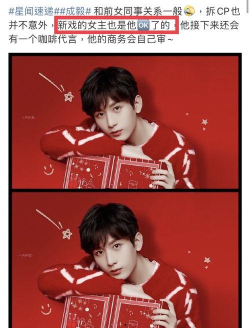 圈内人爆料成毅的恋情,神秘女友身份引热议  第2张
