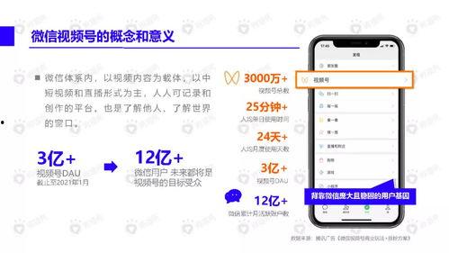 热点爆料小狗视频下载软件,小狗视频下载神器,轻松获取热门短视频! 第3张 热点爆料小狗视频下载软件,小狗视频下载神器,轻松获取热门短视频! 第3张