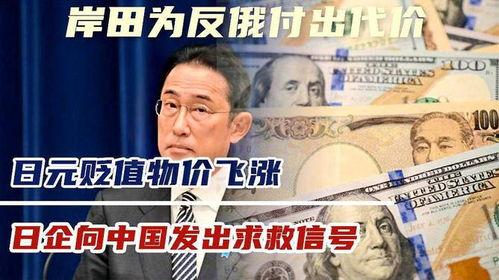日代价在线观看,揭秘每日精彩瞬间  第2张