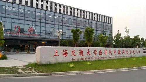 上海瑞金医院最新爆料,前沿医疗技术突破与临床应用 第3张 上海瑞金医院最新爆料,前沿医疗技术突破与临床应用 第3张