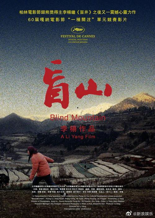 盲山电影手机在线观看,揭开山村秘密，手机在线观看惊悚之旅  第2张