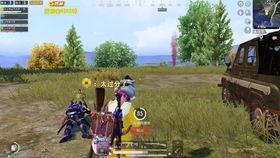 和平精英视频爆料没了,视频揭秘游戏重大更新  第3张