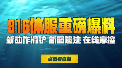 体服最新爆料,全新内容与玩法大曝光！
