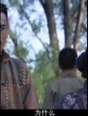 致命行动电视剧全集在线观看,揭秘惊心动魄的卧底传奇  第2张