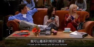 老友记第八季在线观看,友情再续，纽约生活新篇章  第3张