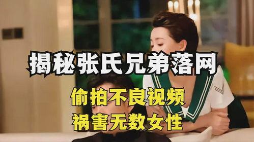 免费不良视频在线观看,揭秘免费不良视频在线观看的陷阱与风险  第2张