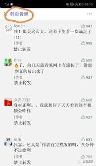 仙家八卦爆料吴迪视频,吴迪视频背后的惊人真相 第3张 仙家八卦爆料吴迪视频,吴迪视频背后的惊人真相 第3张