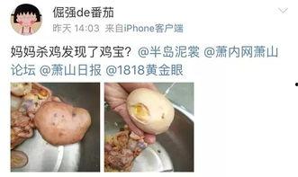 杀鸡最新爆料,揭秘幕后真相,带你走进神秘事件核心 第3张 杀鸡最新爆料,揭秘幕后真相,带你走进神秘事件核心 第3张