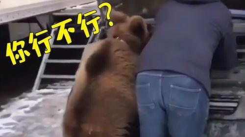 爆料版搞笑配音视频,揭秘搞笑配音视频背后的秘密  第1张